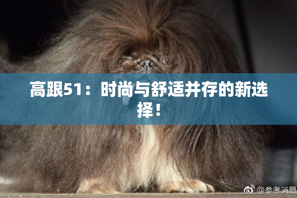 高跟51：时尚与舒适并存的新选择！