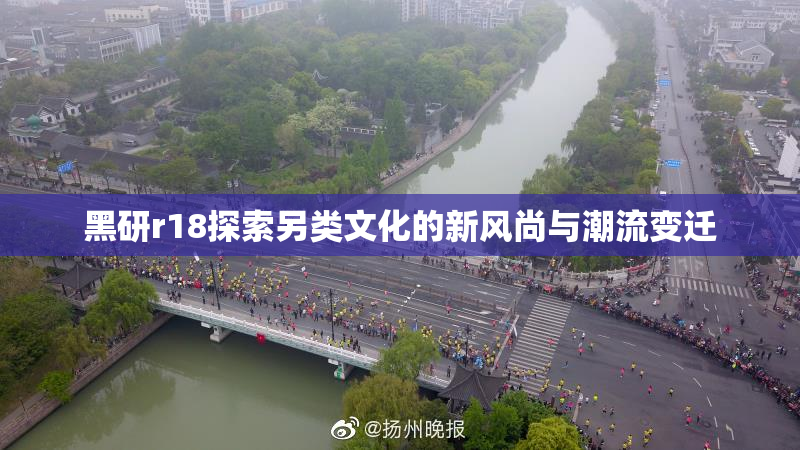 黑研r18探索另类文化的新风尚与潮流变迁