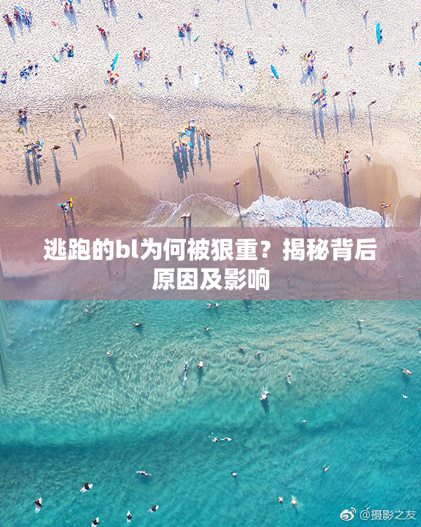 逃跑的bl为何被狠重？揭秘背后原因及影响