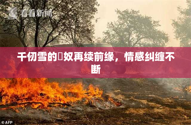 千仞雪的婬奴再续前缘，情感纠缠不断