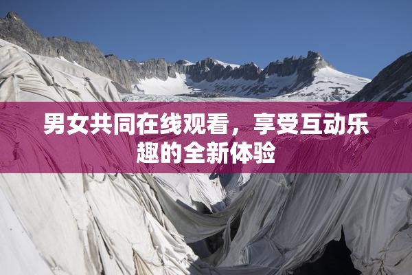 男女共同在线观看，享受互动乐趣的全新体验