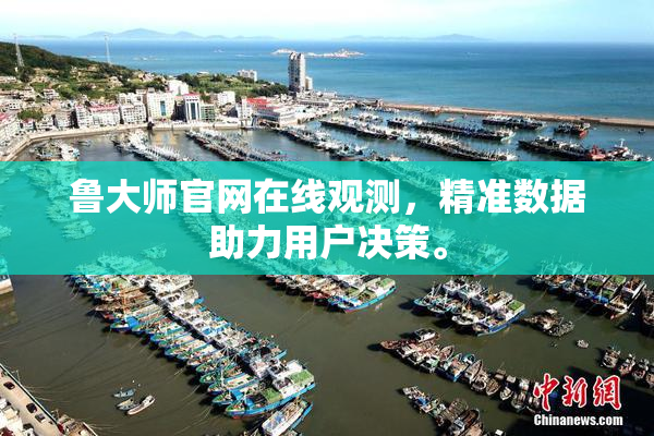 鲁大师官网在线观测，精准数据助力用户决策。