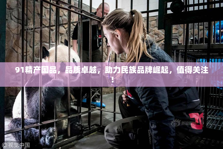 91精产国品，品质卓越，助力民族品牌崛起，值得关注！