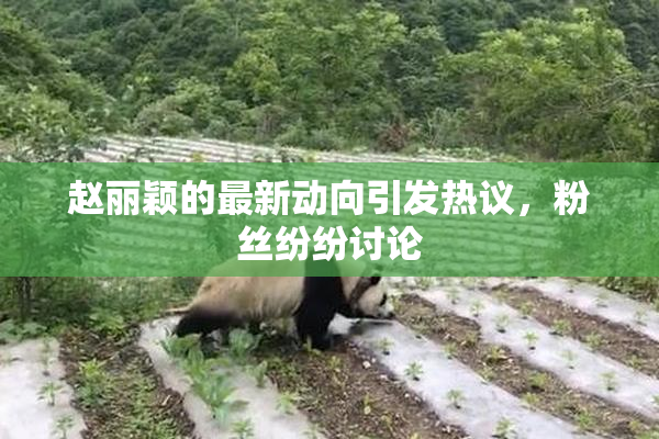 赵丽颖的最新动向引发热议，粉丝纷纷讨论