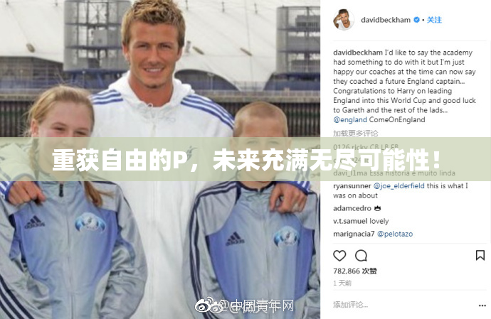 重获自由的P，未来充满无尽可能性！