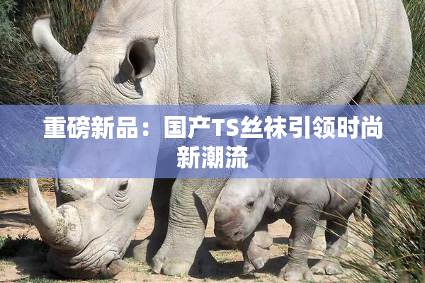 重磅新品：国产TS丝袜引领时尚新潮流
