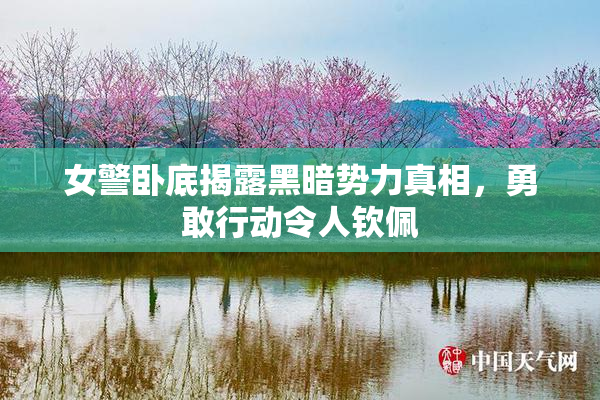 女警卧底揭露黑暗势力真相，勇敢行动令人钦佩