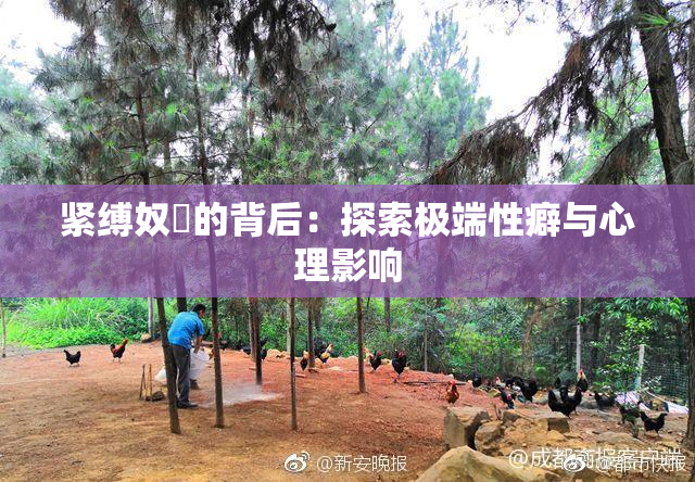 紧缚奴隷的背后：探索极端性癖与心理影响