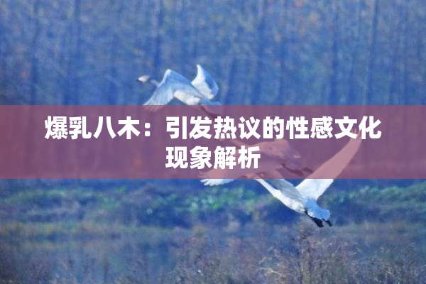 爆乳八木：引发热议的性感文化现象解析