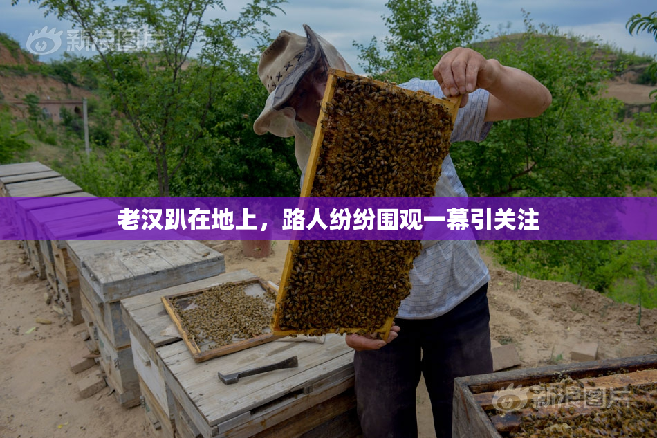 老汉趴在地上，路人纷纷围观一幕引关注