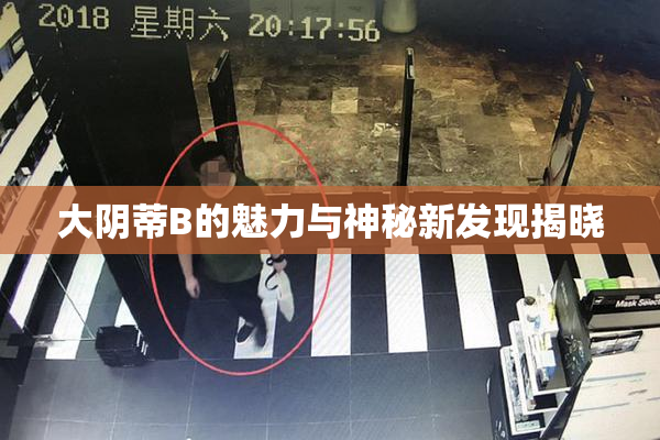 大阴蒂B的魅力与神秘新发现揭晓