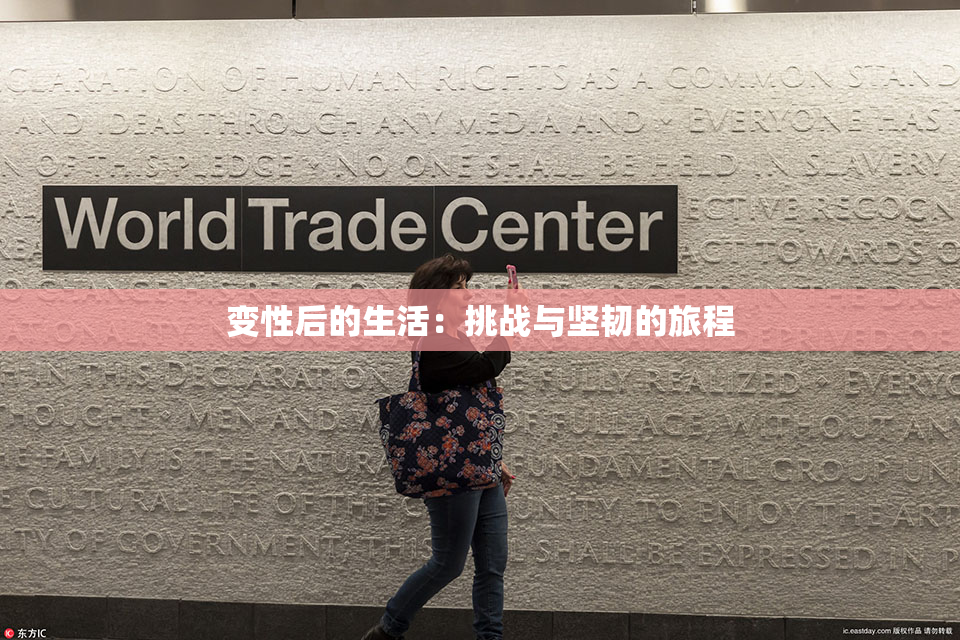 变性后的生活：挑战与坚韧的旅程