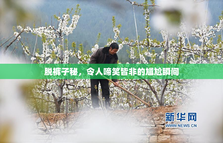 脱裤子秘，令人啼笑皆非的尴尬瞬间