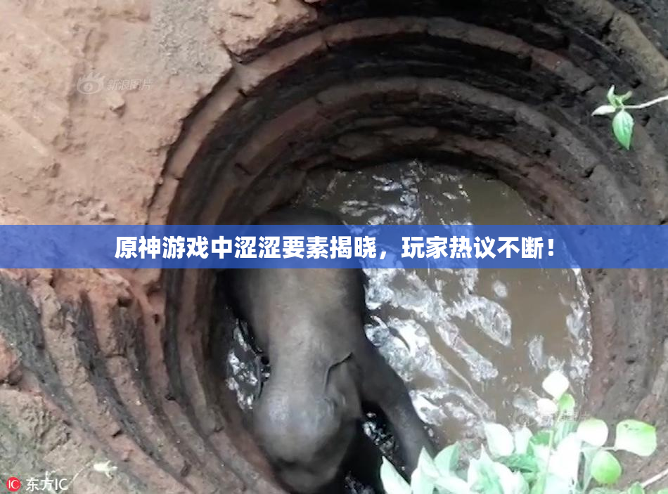 原神游戏中涩涩要素揭晓，玩家热议不断！