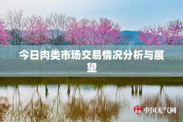 今日肉类市场交易情况分析与展望
