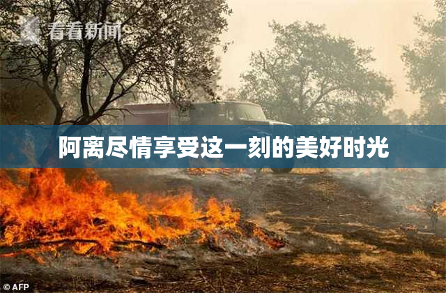阿离尽情享受这一刻的美好时光