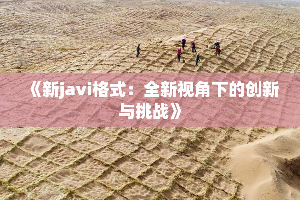 《新javi格式：全新视角下的创新与挑战》
