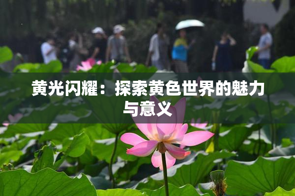 黄光闪耀：探索黄色世界的魅力与意义