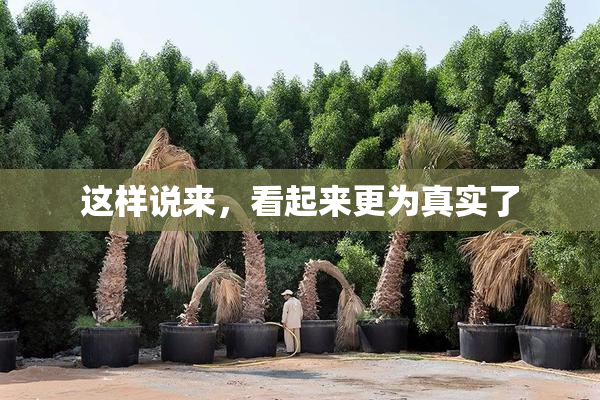 这样说来，看起来更为真实了