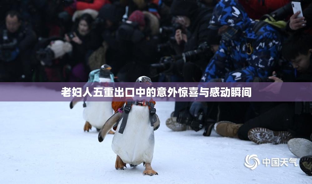 老妇人五重出口中的意外惊喜与感动瞬间