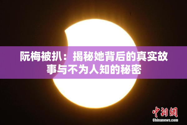 阮梅被扒：揭秘她背后的真实故事与不为人知的秘密