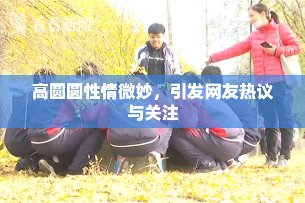 高圆圆性情微妙，引发网友热议与关注