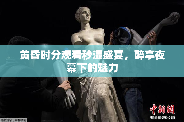 黄昏时分观看秒湿盛宴，醉享夜幕下的魅力