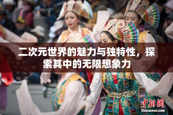 二次元世界的魅力与独特性，探索其中的无限想象力