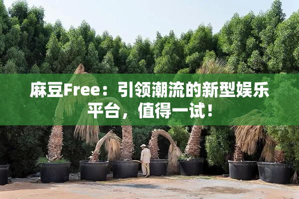 麻豆Free：引领潮流的新型娱乐平台，值得一试！
