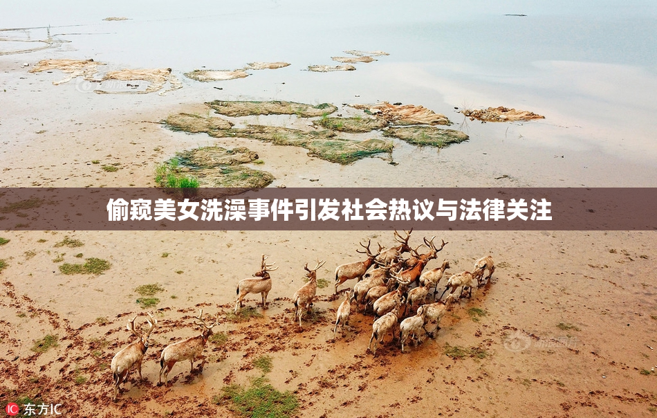 偷窥美女洗澡事件引发社会热议与法律关注
