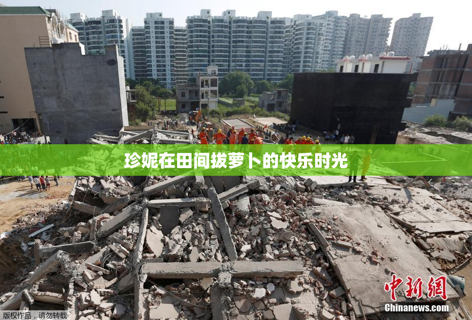 珍妮在田间拔萝卜的快乐时光