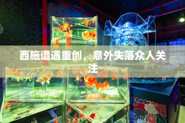 西施遭遇重创，意外失落众人关注