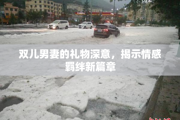 双儿男妻的礼物深意，揭示情感羁绊新篇章