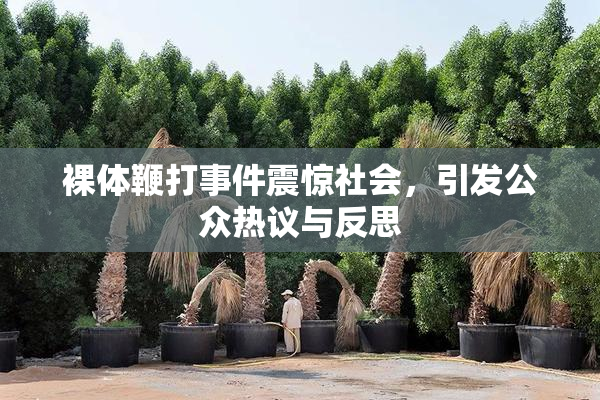 裸体鞭打事件震惊社会，引发公众热议与反思