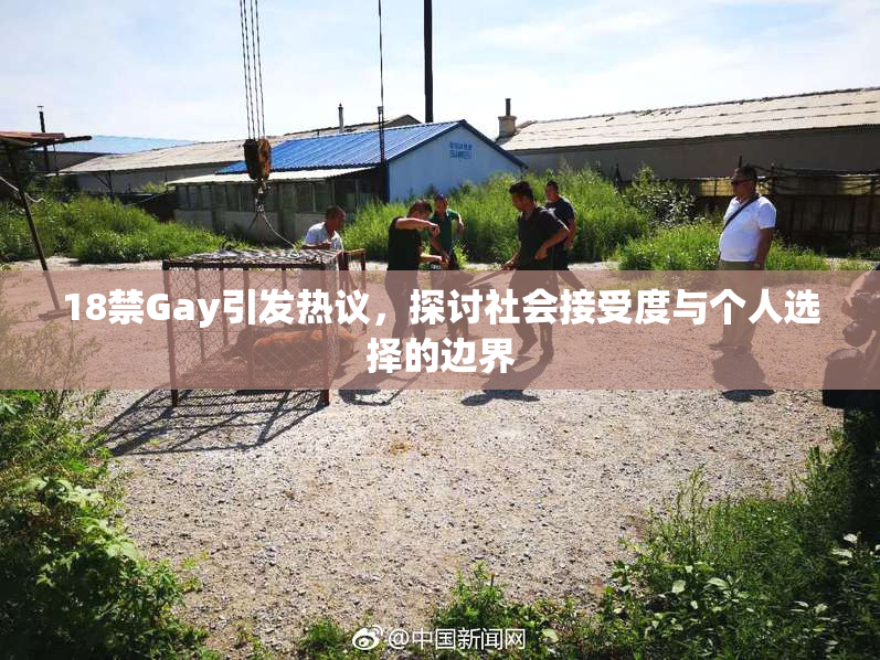 18禁Gay引发热议，探讨社会接受度与个人选择的边界