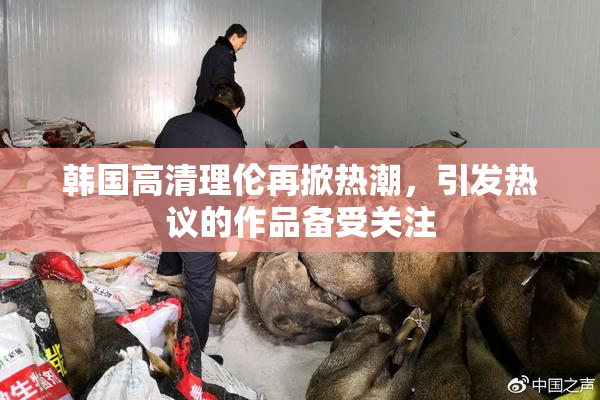 韩国高清理伦再掀热潮，引发热议的作品备受关注