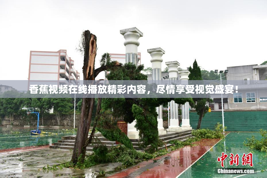 香蕉视频在线播放精彩内容，尽情享受视觉盛宴！