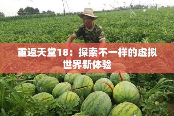 重返天堂18：探索不一样的虚拟世界新体验