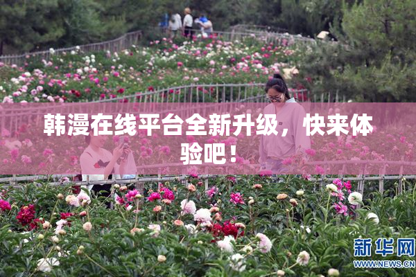 韩漫在线平台全新升级，快来体验吧！