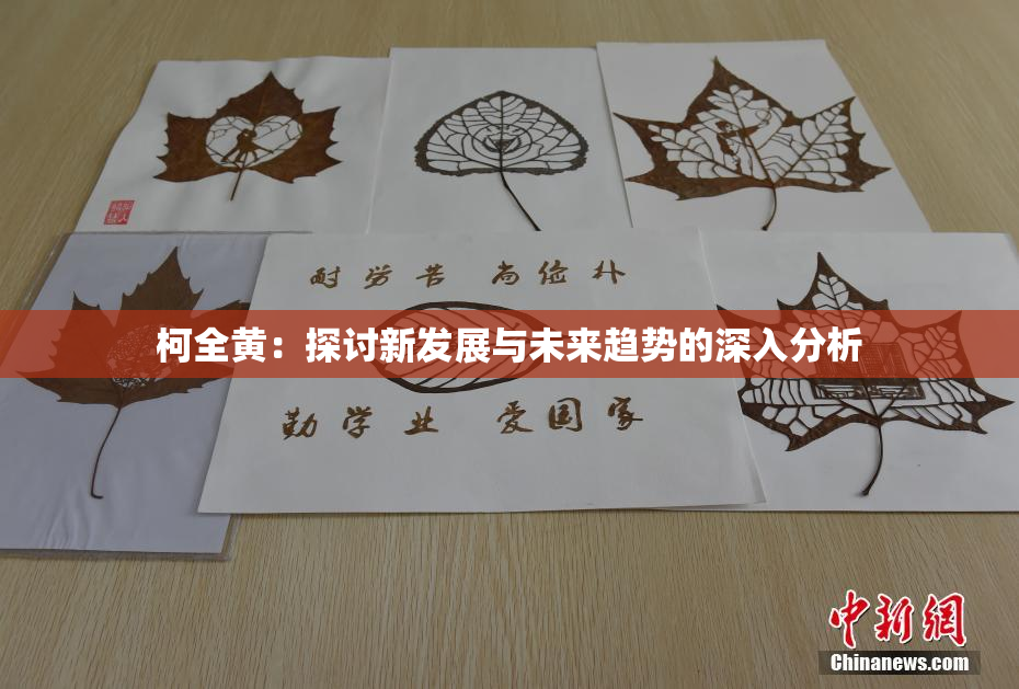 柯全黄：探讨新发展与未来趋势的深入分析