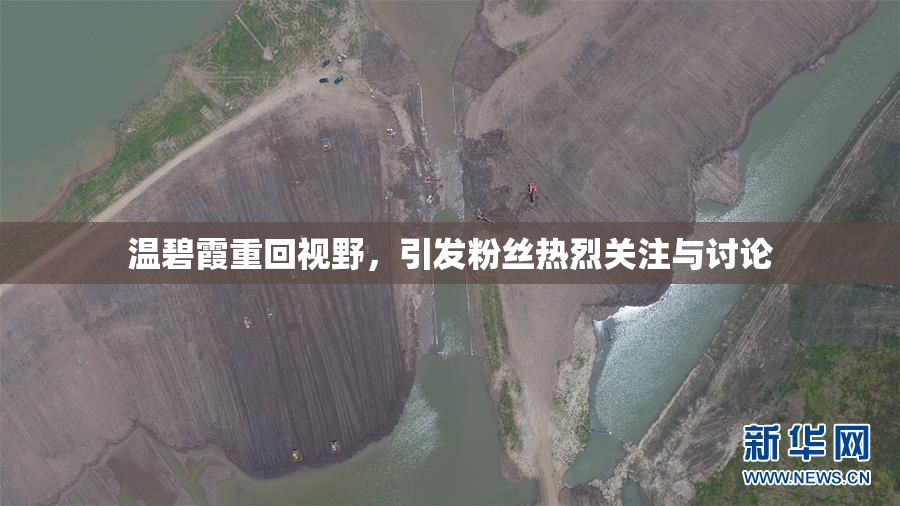 温碧霞重回视野，引发粉丝热烈关注与讨论