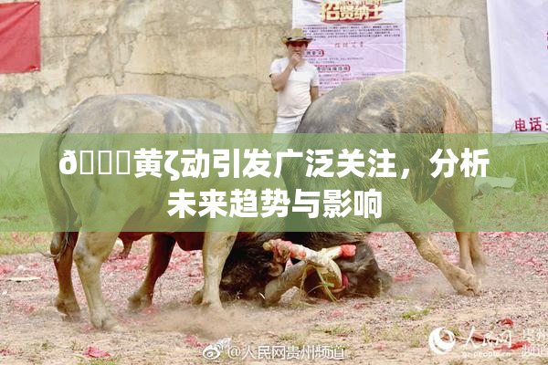 🔞黄ζ动引发广泛关注，分析未来趋势与影响
