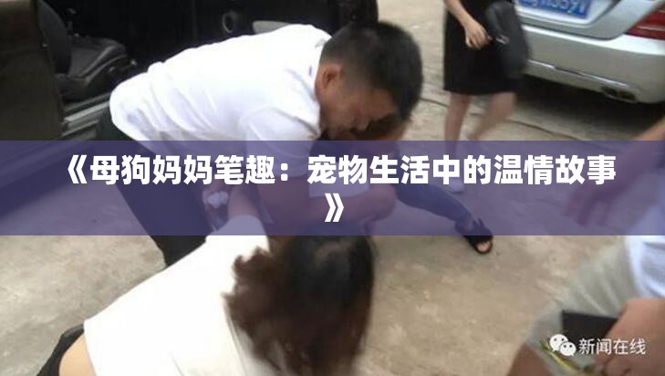 《母狗妈妈笔趣：宠物生活中的温情故事》