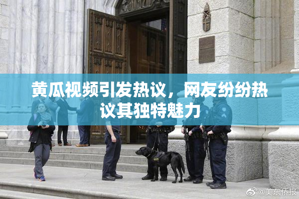 黄瓜视频引发热议，网友纷纷热议其独特魅力