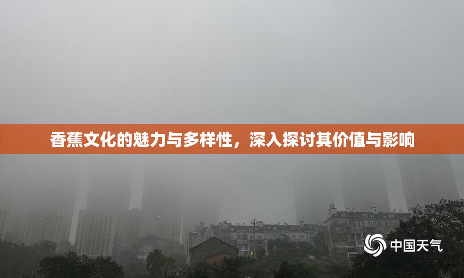 香蕉文化的魅力与多样性，深入探讨其价值与影响