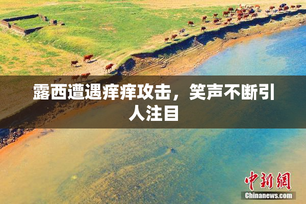 露西遭遇痒痒攻击，笑声不断引人注目