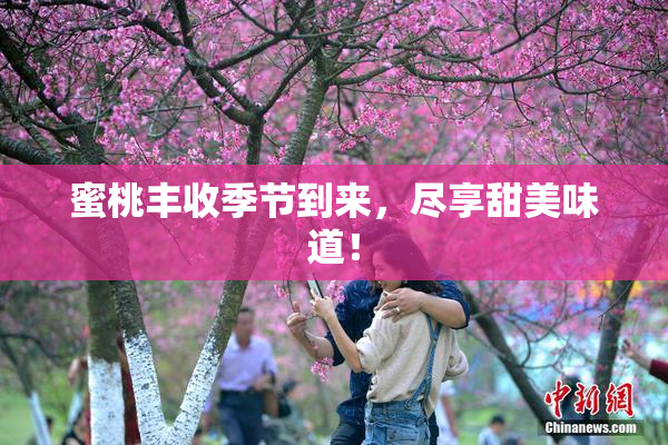 蜜桃丰收季节到来，尽享甜美味道！