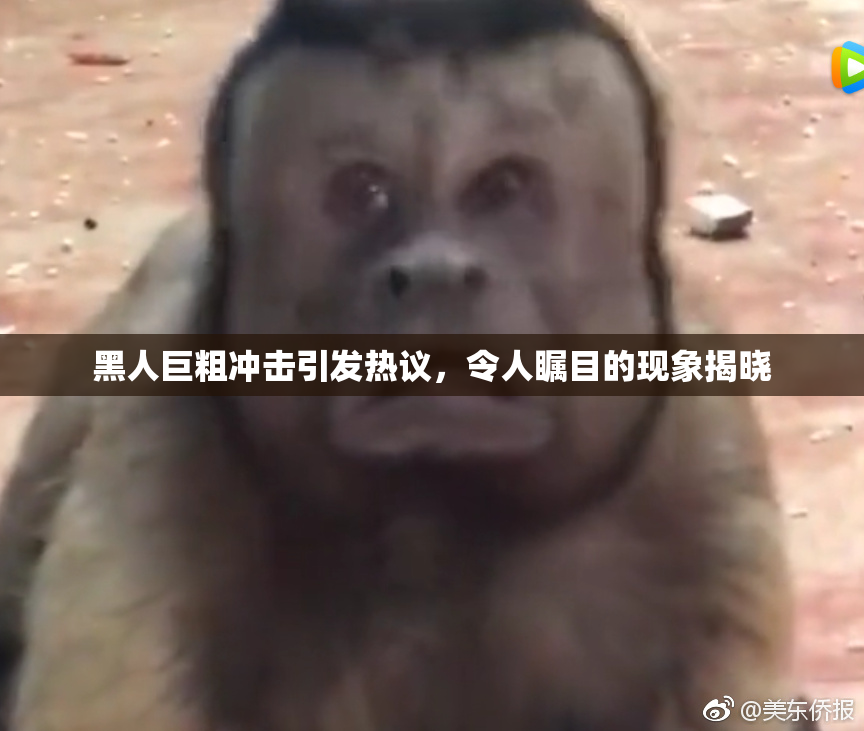 黑人巨粗冲击引发热议，令人瞩目的现象揭晓