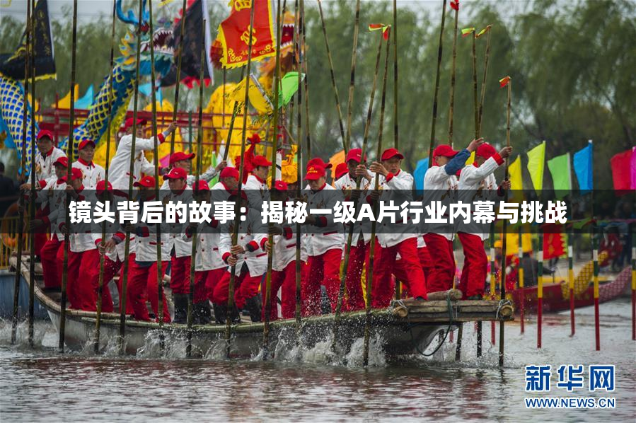 镜头背后的故事：揭秘一级A片行业内幕与挑战