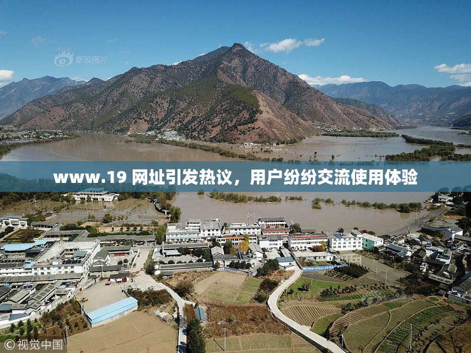 www.19 网址引发热议，用户纷纷交流使用体验
